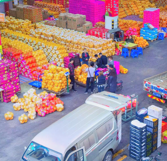 1760669750315040205.jpg 1760669750315040205.jpg