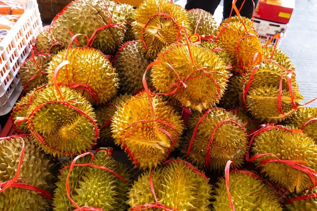 1769481106477014035.png 1769481106477014035.png