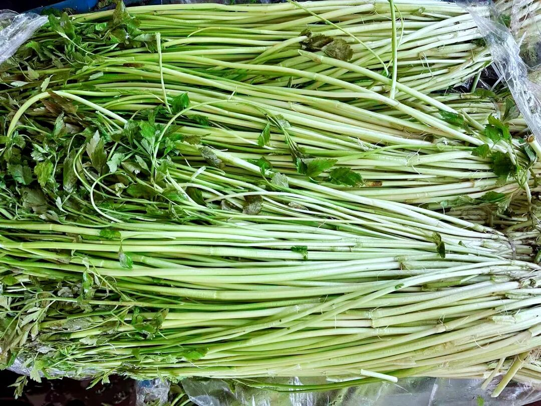 1769482143579086994.png 1769482143579086994.png