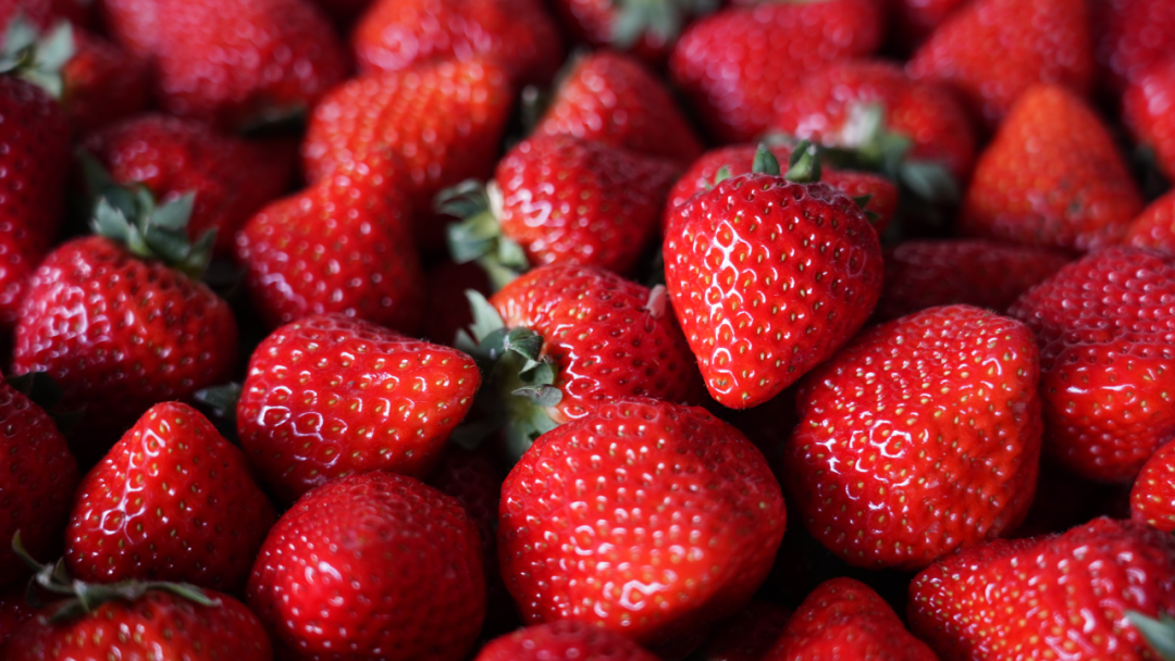 1769484693494068011.png 1769484693494068011.png