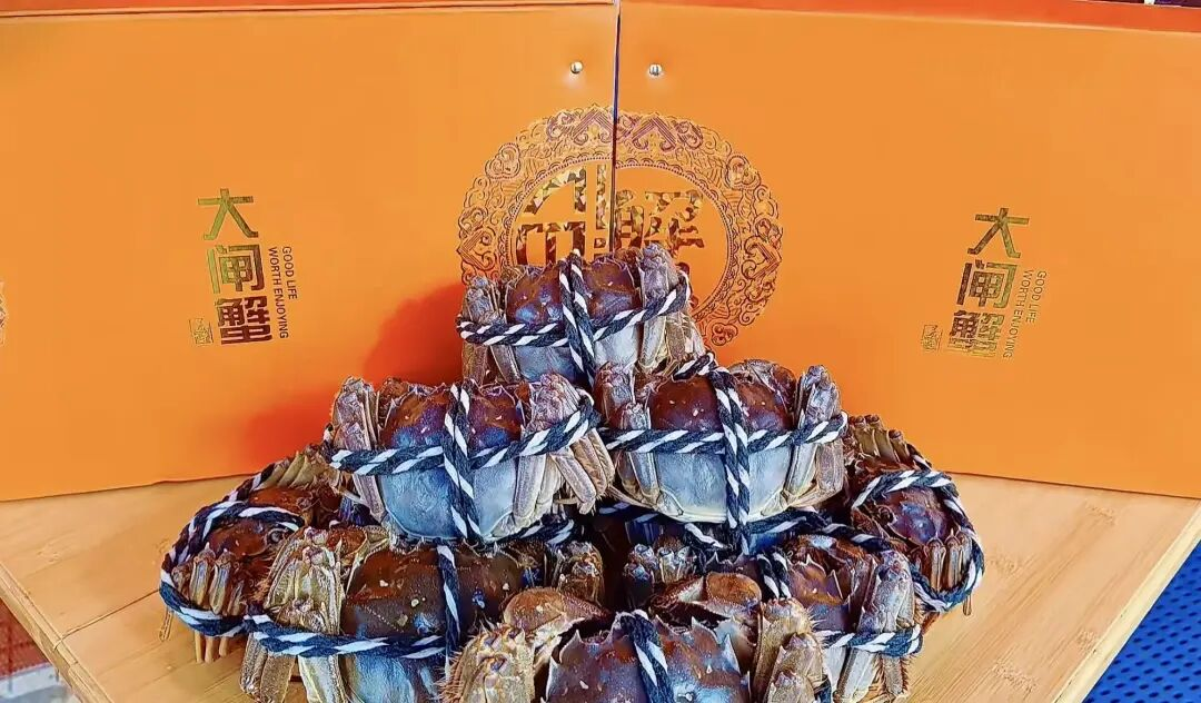 1769500659972027001.png 1769500659972027001.png