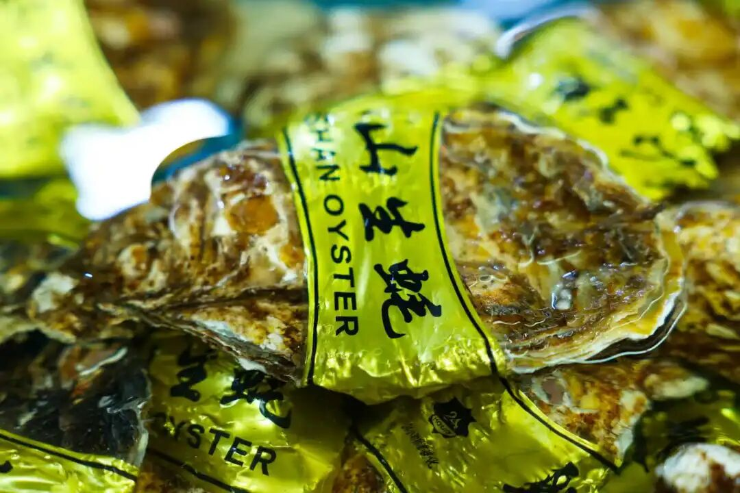 1769500697340025116.png 1769500697340025116.png