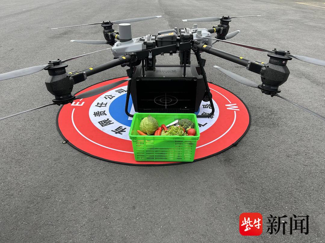 众彩新鲜蔬果打“飞的”直供校园食堂，南京5家幼儿园率先被“投喂”