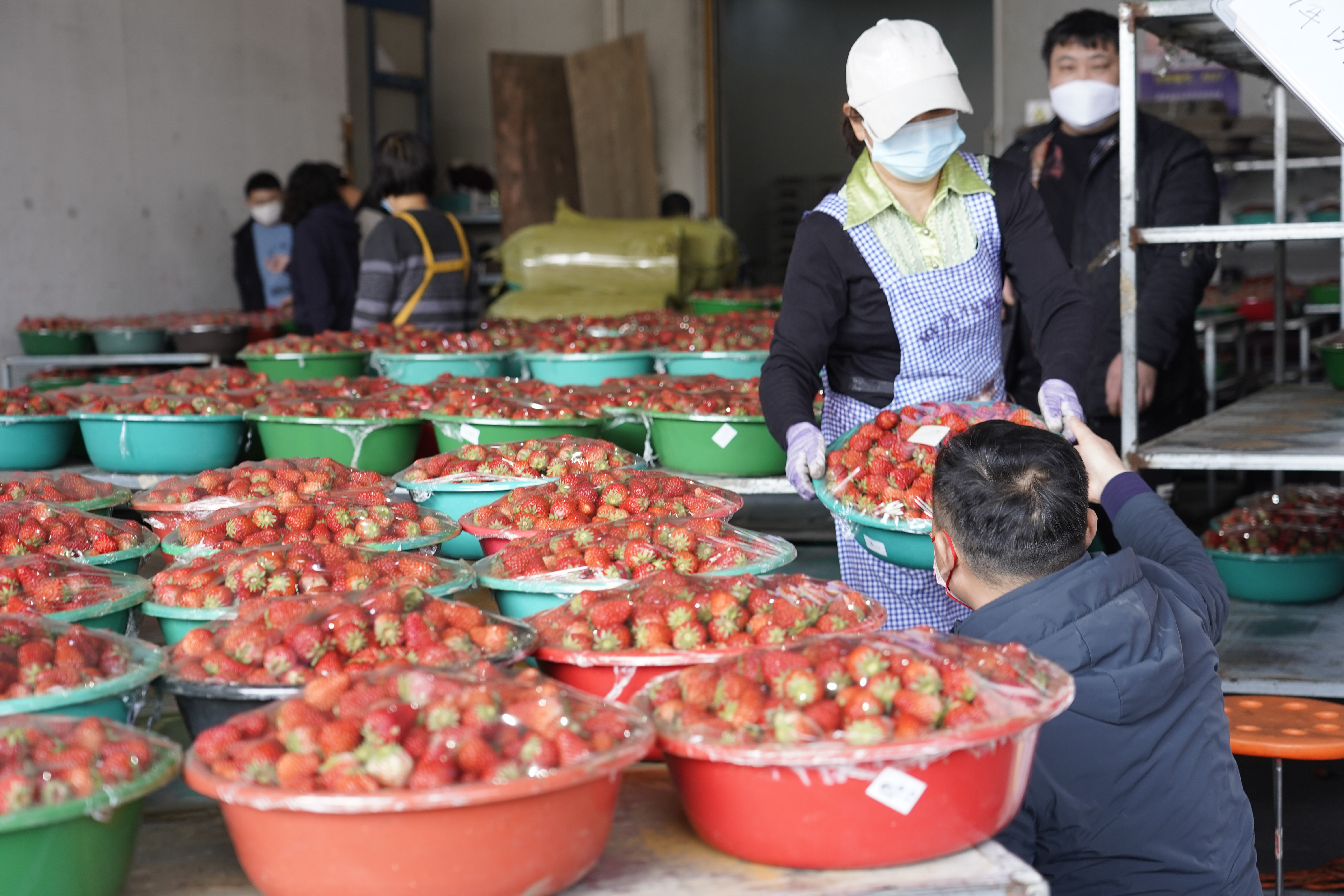 2026年4月23日水果价格参考表